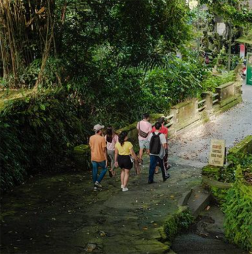 List of Exciting Tours in Ubud (With Prices)